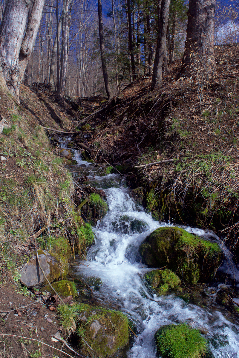 Illustration for article titled First Signs of Spring